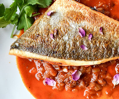 405x336_img1 405x336_img1